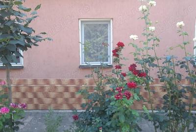 Casă cu 4 camere în Lovrin - 3