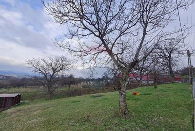 Teren intravilan la Strada Principala in Haulisca - 1