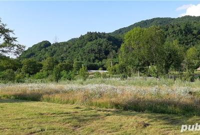 Teren de 4150 mp, în Drăgănești (Brezoi) - 8