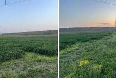 Teren cota parte 1/6 Paunesti, ID: R2547851 - 4