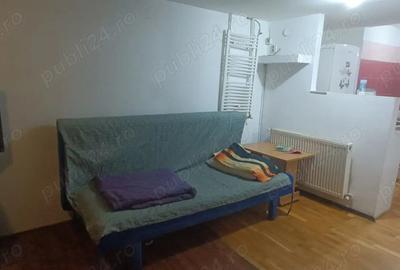 Garsoniera la curte zona Pieptanari - 4