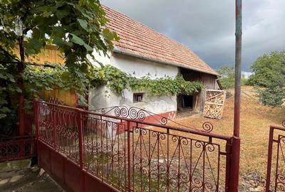 Casă cu 4 camere în Roșia de Secaș