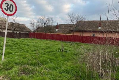 Spațiu comercial, în Borcea - 5