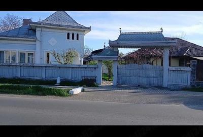 Casă cu Teren 1200 Mp în Cotu Vameș - 5