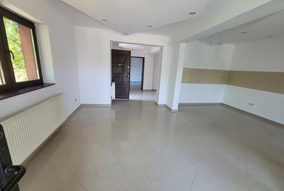 Casa individuala, ideala sediu firma Rahova- Teius - 3