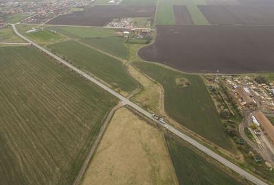 Teren 76.000mp intre Santana ?i Caporal Alexa - 4