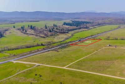 Teren 7786 mp/Curți construcții/Benzinărie - 6