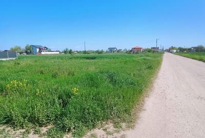 Spațiu comercial, în Joița - 5