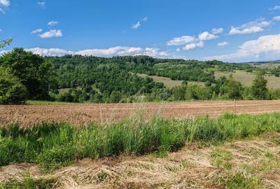 1,3 HA TEREN EXTRAVILAN, Muntii Apuseni, Negreni, jud. Cluj, la 5 km de E60 - 3