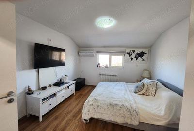 Casă cu 6 camere cu Teren 3000 Mp în Cataloi - 20