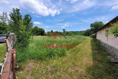 Casă cu Teren 3399 Mp în Brebu - 2