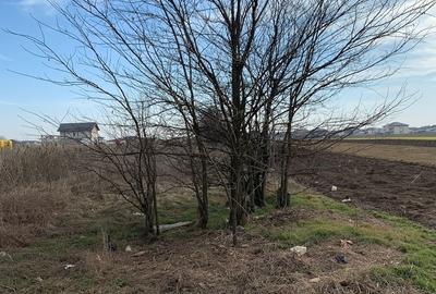 Comuna Berceni teren investitie, acces direct din bulevardul principal - 9