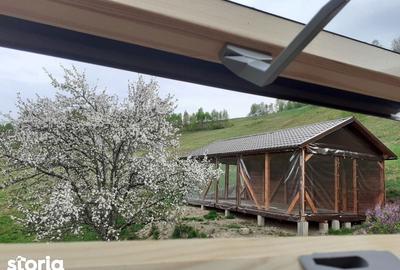 Casă cu 4 camere cu Teren 8000 Mp în Vale - 7