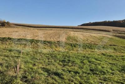 Casă cu 3 camere cu Teren 1900 Mp în Bărdești - 3