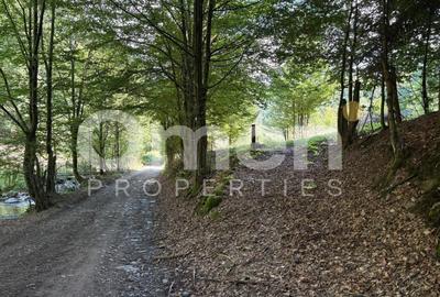 Teren Construcții extravilan de 1402 mp, în Blidari - 5