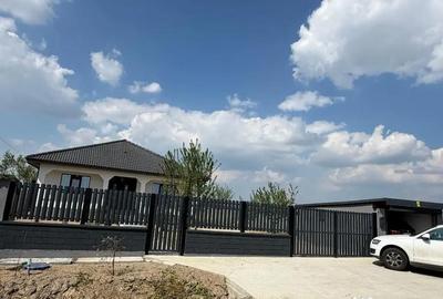Casă cu 3 camere cu Teren 4200 Mp în Cărăndeni - 11