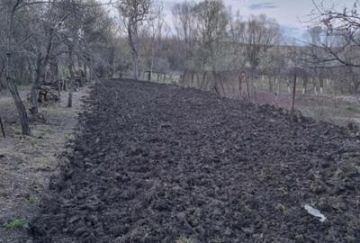 Casa de vanzare in Sat Macoviste com Cuchici - 3