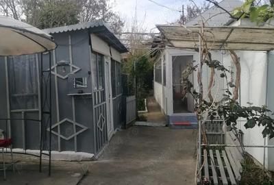 Casa de vanzare JUD Tulcea Comuna Rachelu Casa de vanzare JUD Tulcea Comuna Rachelu - 10