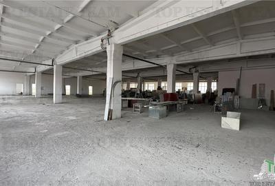 Hala productie/depozitare 3130 mp in zona Pallady/Industriilor - 2