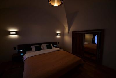 Apartament elegant în inima Sibiului  - PROPRIETAR - 5