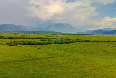 Teren de 10800 mp, în Râșnov - 18