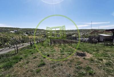 Casă individuală cu 2 camere cu Canalizare în Dealuri Oradea - 10