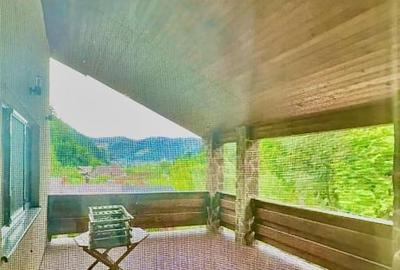 Casa de vacanta sau pensiune | Batca Doamnei | Teren in natura - 9