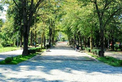 Exclusivitate. Apartament decomandat, Pacul Babes. - 2