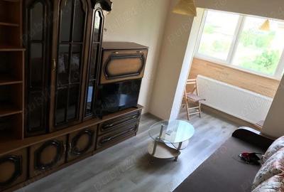 Apartament cu 2 camere decomandat în Jimbolia - 5