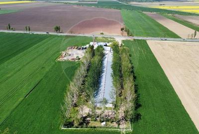 Spațiu industrial, de 5,000 mp, în Tișița - 4