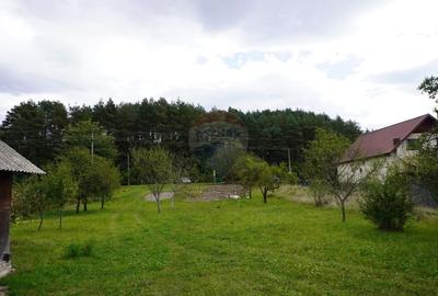 Teren 7968 mp Sighetu Marmatiei / Strada Lazu Baciului - 7