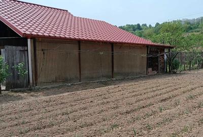 Casă cu 4 camere în Târgu Logrești - 2