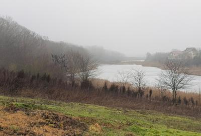 Teren cu deschidere la lac | 50 m Padure | 1000 MP - 2