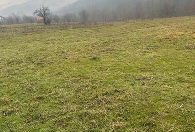 Teren de 4435 mp, în Central - 3