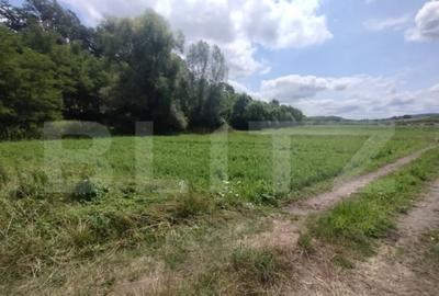 Teren de 850 mp, în Șintereag - 3