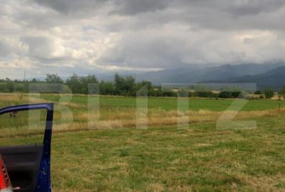 Teren extravilan 8600 mp, Car?i?oara- Coasta lui Nache - 2