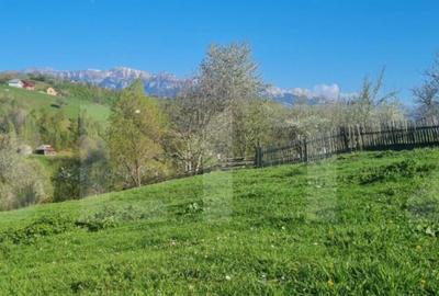 Vila superba Magura- Brasov , destinatie pensiune 6 camere 5 - 15