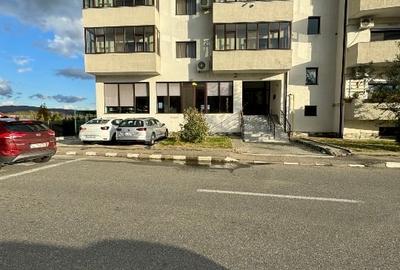 Spatiu comercial / depozit - 4