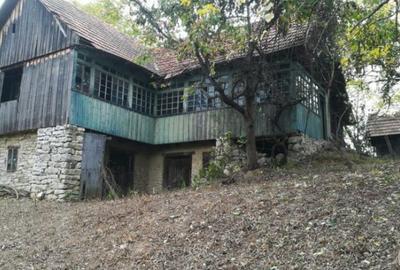 Vând casă la țară în comuna Bulzeștii de Sus, sat Tomnatec, Muntii Apuseni