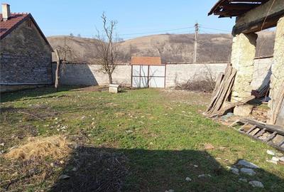 Teren de 1800 mp, în Ciclova Română - 10