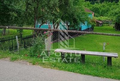 Casa bătrânească de vânzare | 4 camere | Hunedoara | Micănești - 23