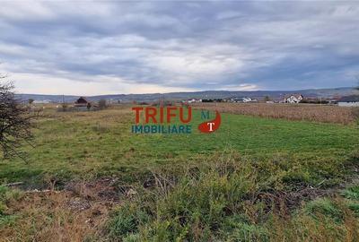 Teren 2160mp în  Partoș - 1