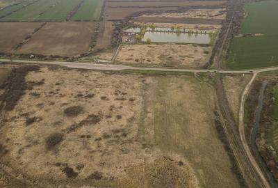 Teren extravilan in Ineu - 18