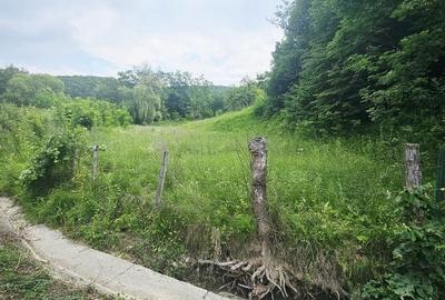 Teren intravilan lângă pădure – 1659 mp,  C.U. P+2E, Vărbilău - 2