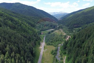Teren agricol intravilan de 11546 mp, în Lerești