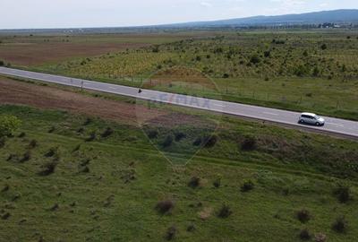 Teren Bolotesti pe soseaua Vrancei - 5