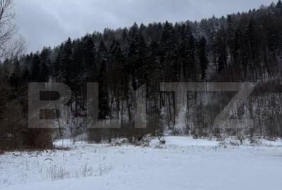 Casă cu 4 camere cu Teren 1600 Mp în Tărlungeni - 6