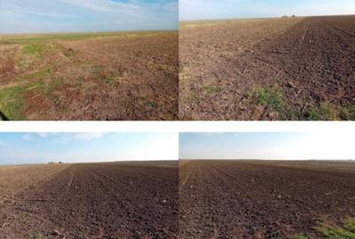 Teren de 5800 mp, în Periferie - 2