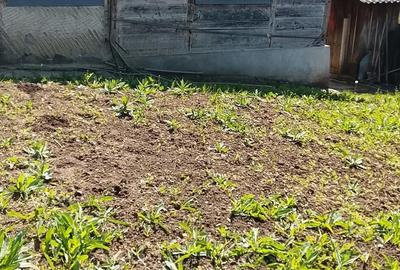 Casă cu 3 camere cu Teren 900 Mp în Telciu - 3