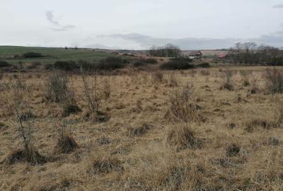 Teren de 12600 mp, în Câmpenești - 2